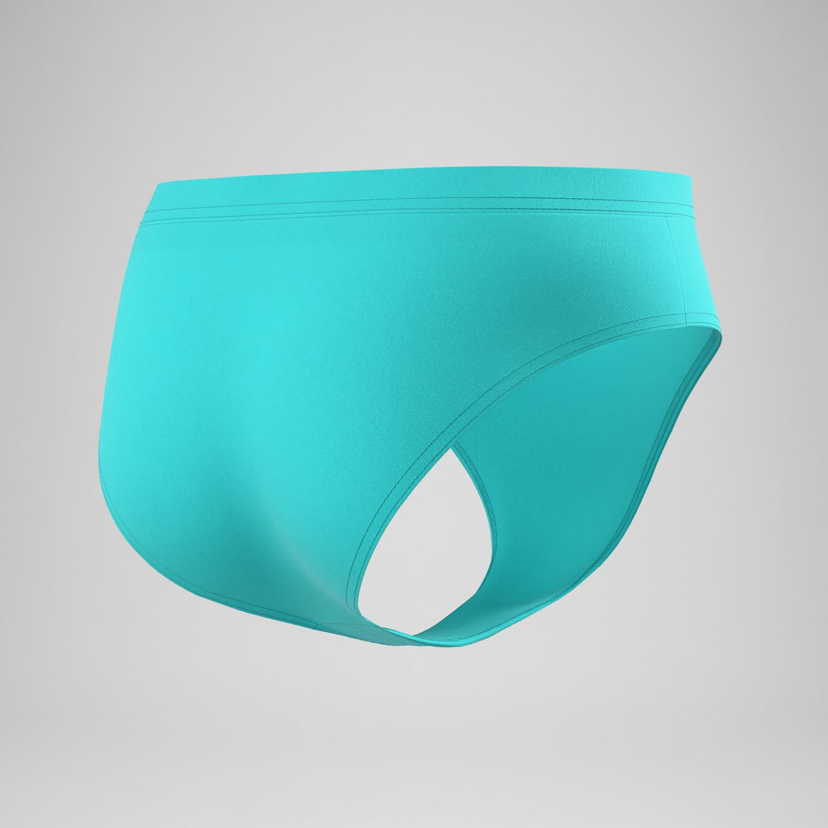 The Speedo Briefs Turquoise | Speedo