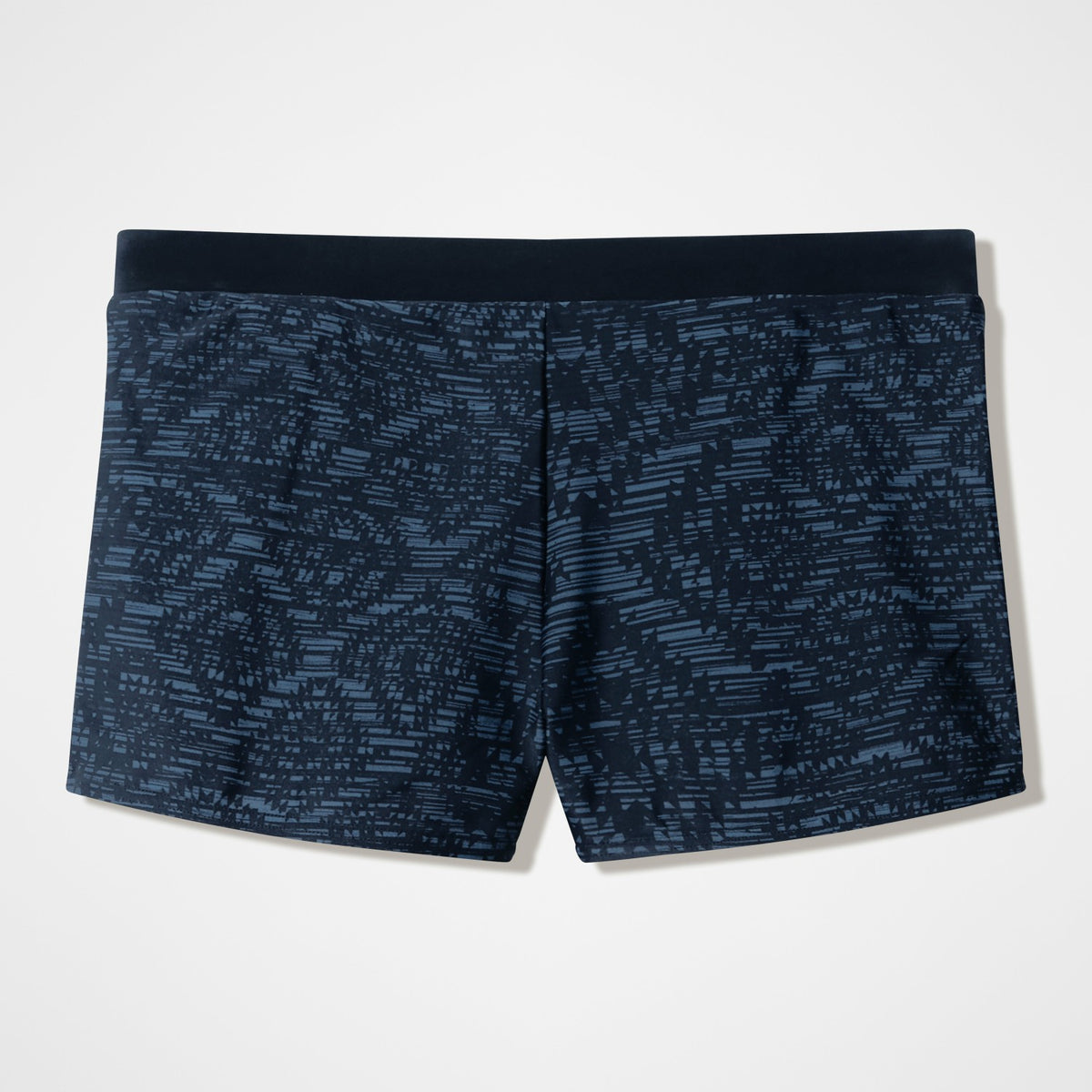Valmilton Aquashorts Black | Speedo