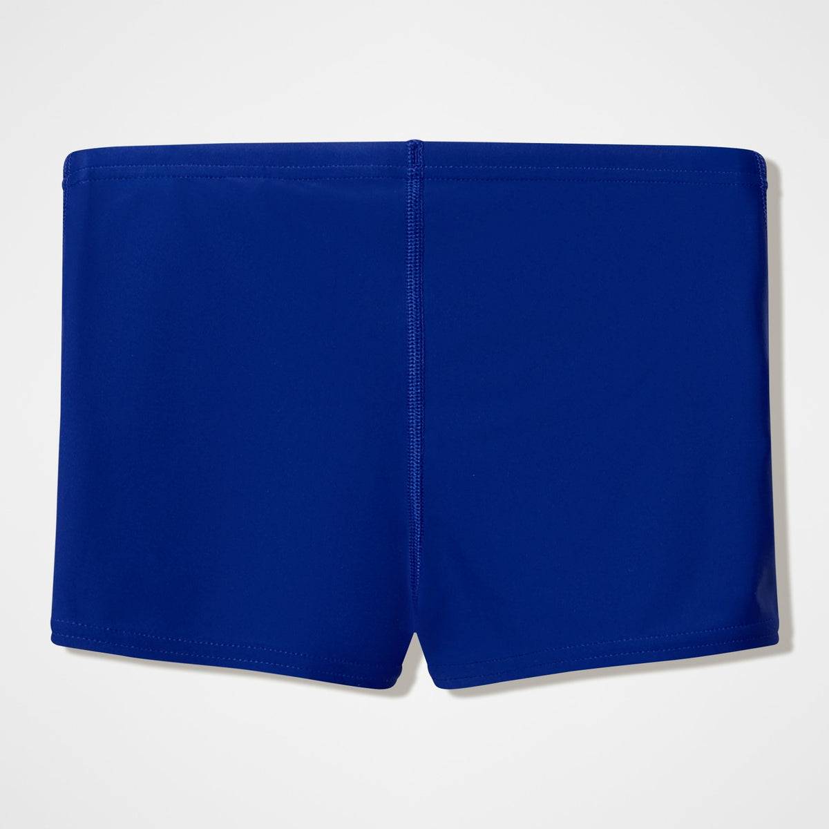 Boys Medley Logo Aquashorts Blue | Speedo