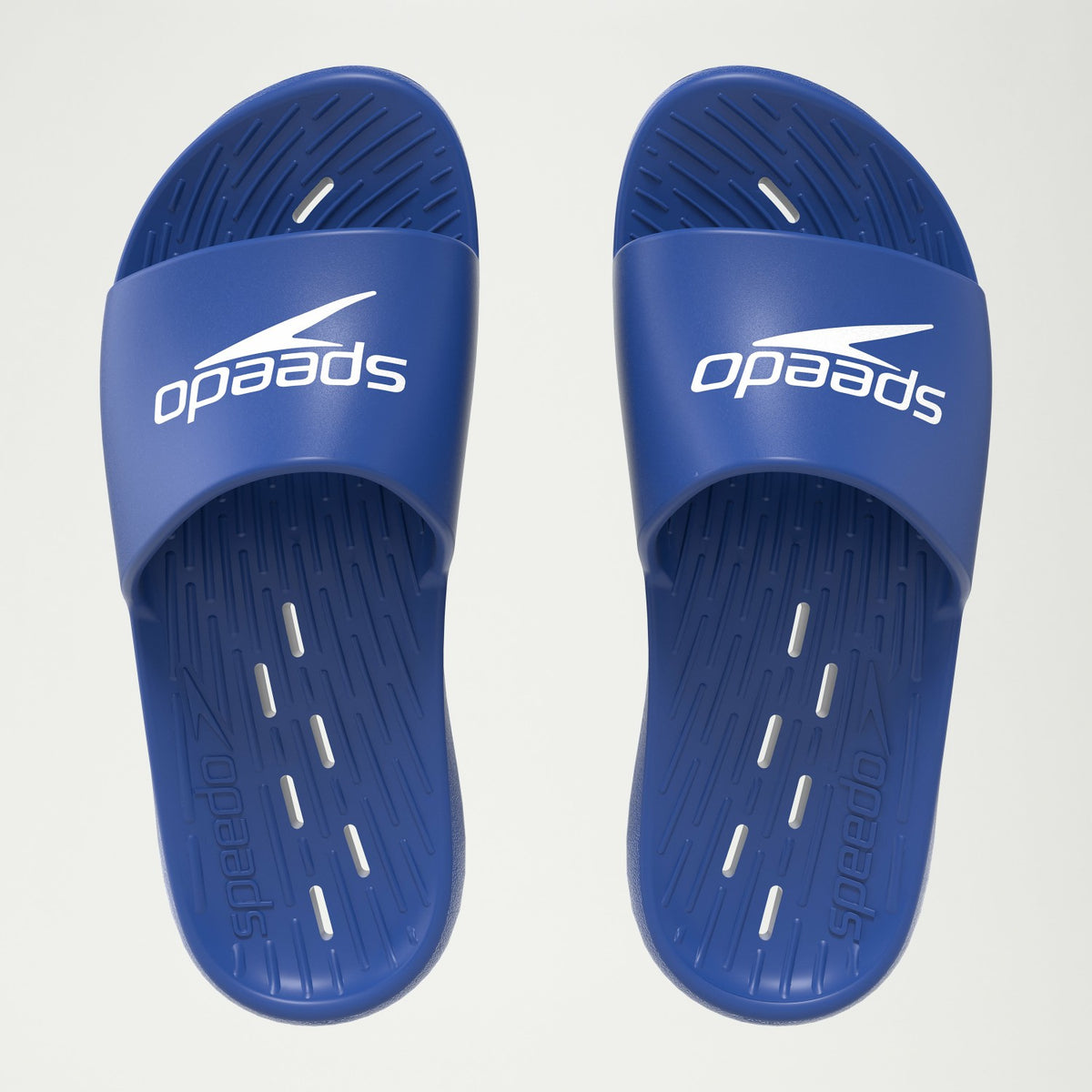 Speedo Slide Navy/White | Speedo