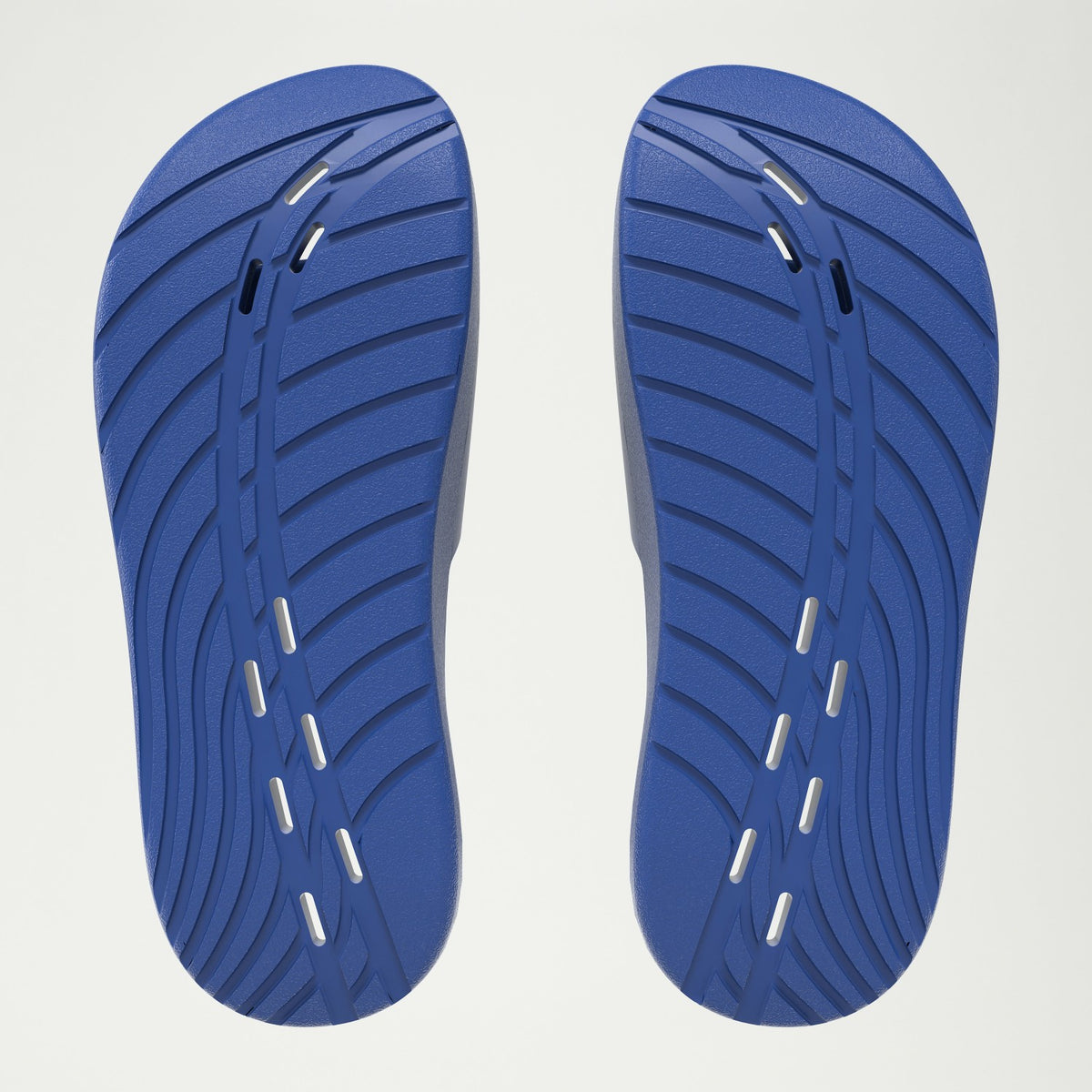 Speedo Slide Navy/White | Speedo