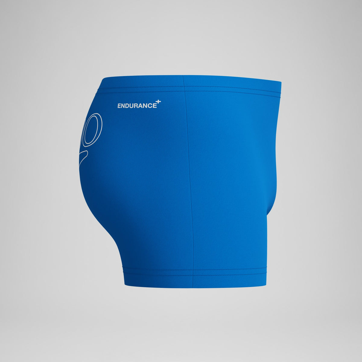 Endurance+ Logo Aquashorts Blue | Speedo