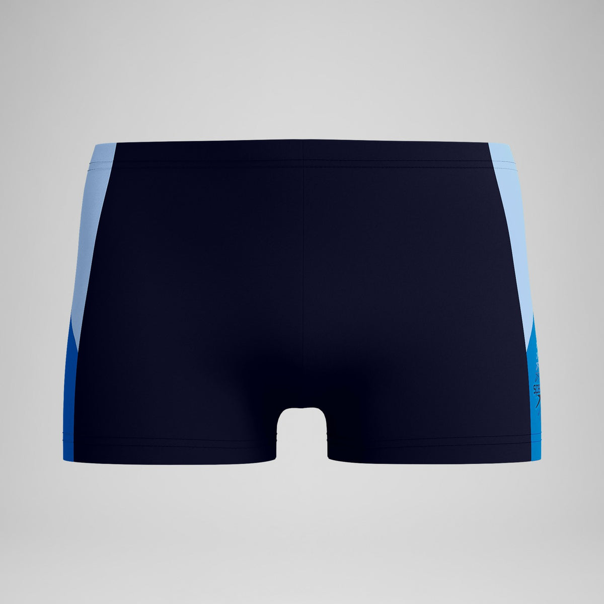 Dive Aquashorts Navy/Blue | Speedo