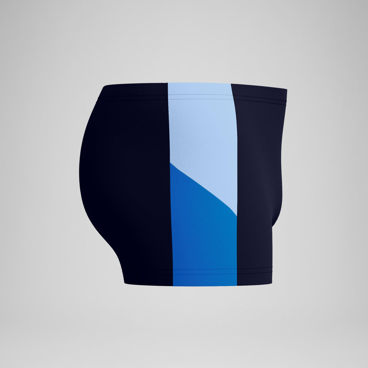 Dive Aquashorts Navy/Blue | Speedo