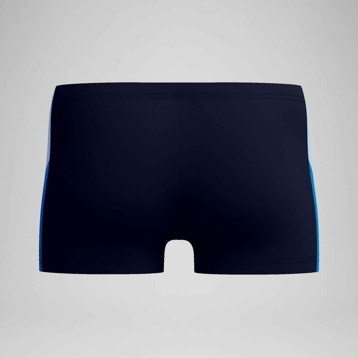 Dive Aquashorts Navy/Blue | Speedo