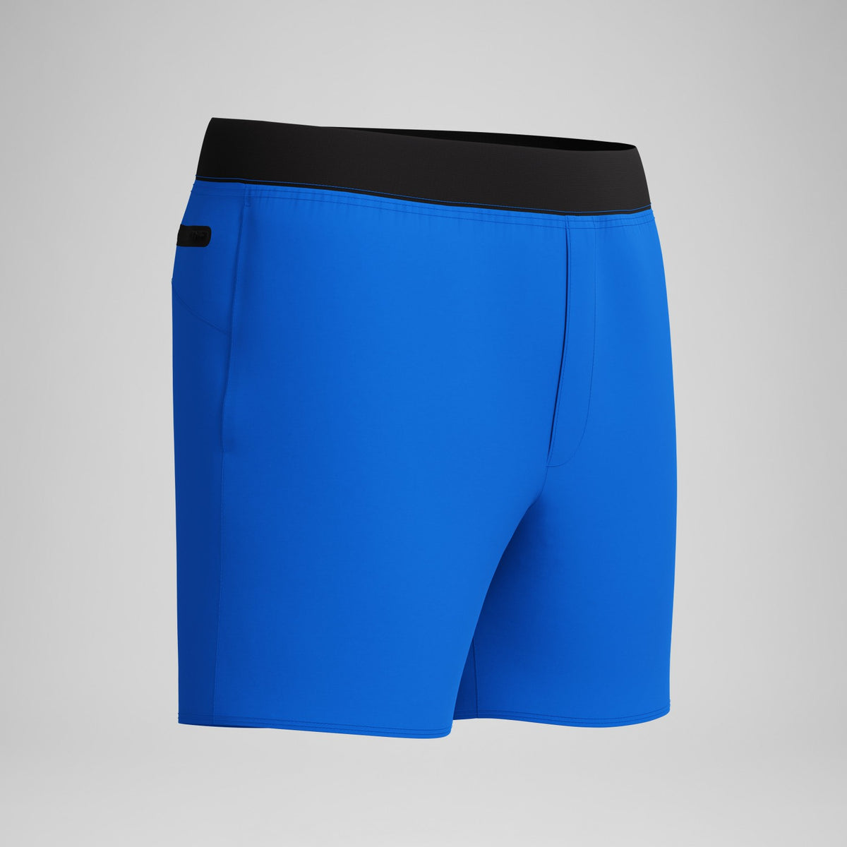 Lookout Solid Swim Shorts Blue | Speedo