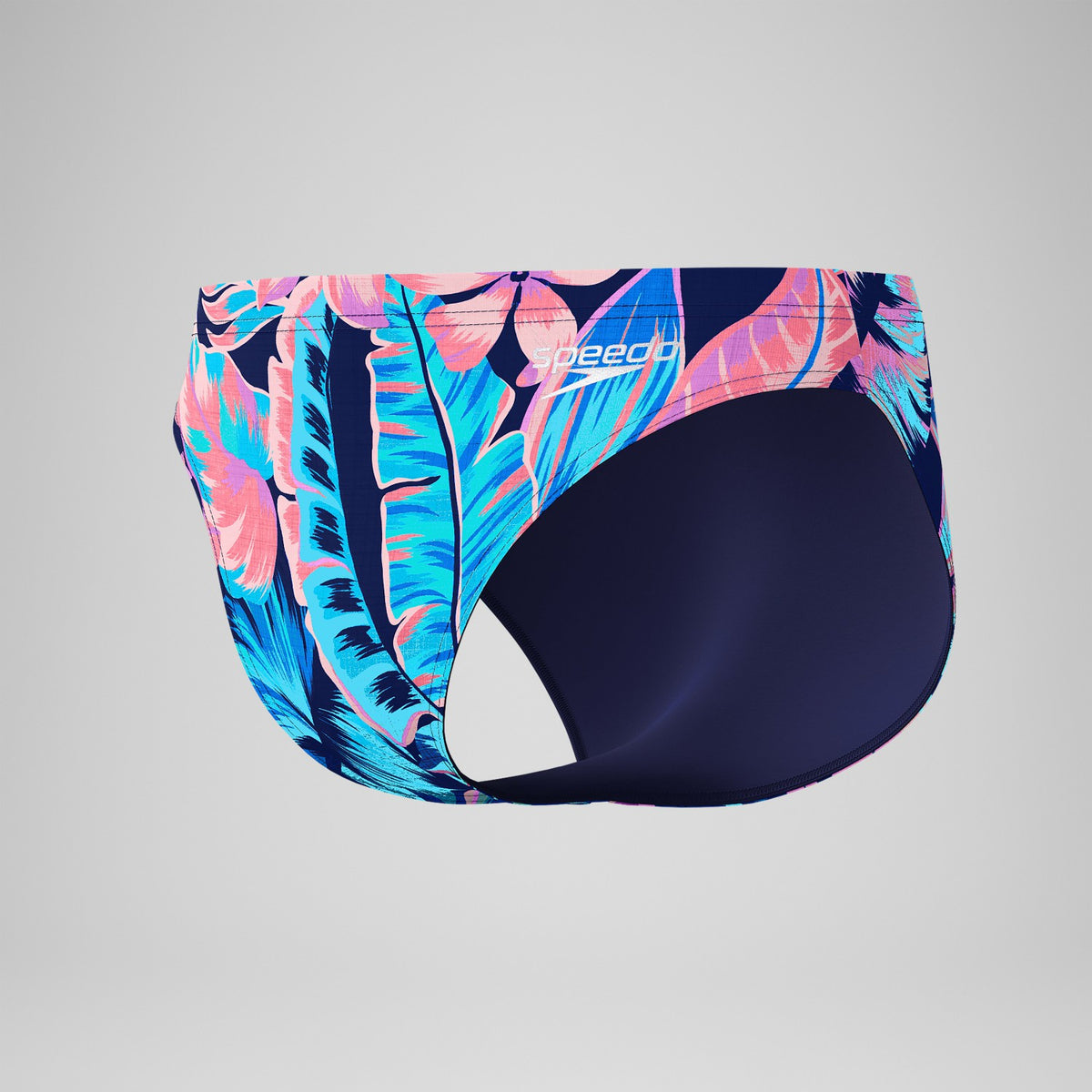 Beachstar Brief Blue/Pink | Speedo