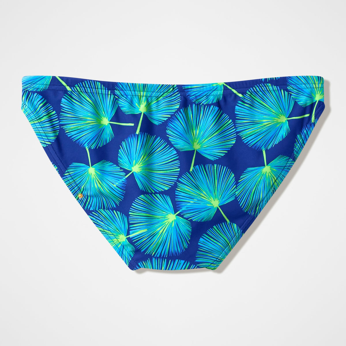 The Speedo Printed Briefs Blue/Green | Speedo