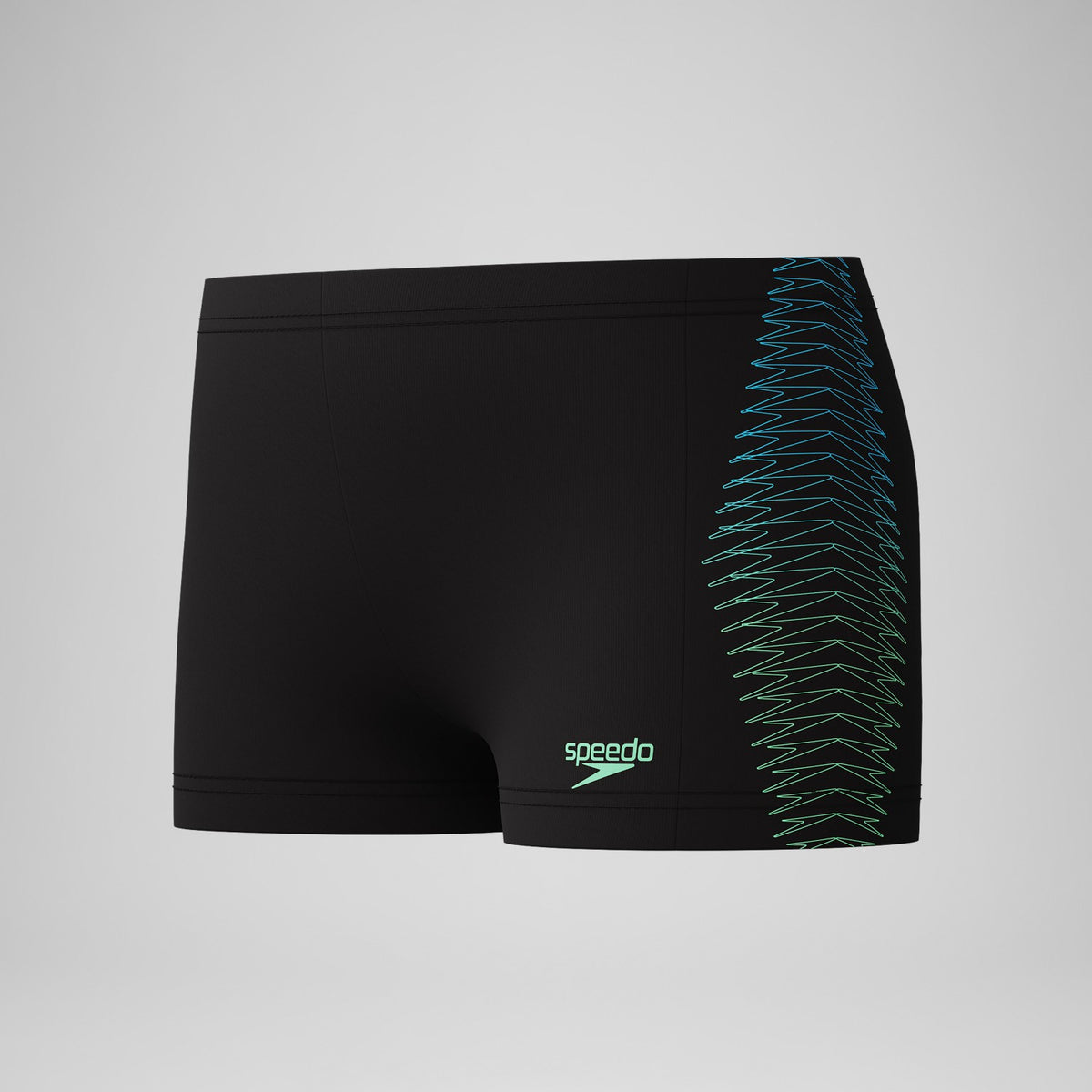 Boys Plastisol Placement Aquashorts Black/Green | Speedo