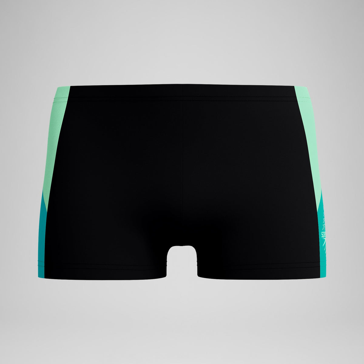 Dive Aquashorts Black/Turquoise | Speedo