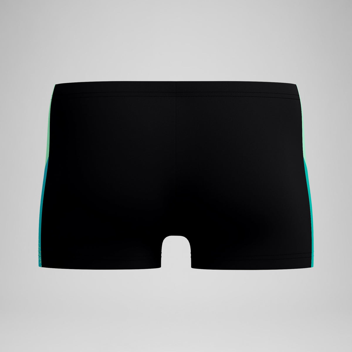 Dive Aquashorts Black/Turquoise | Speedo