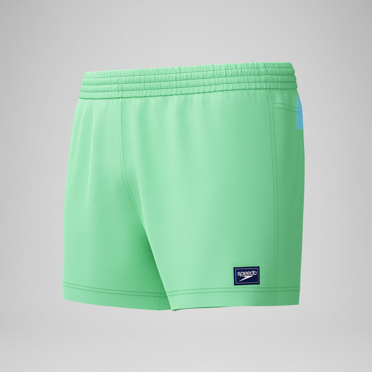 Retro Solid Swim Shorts Green | Speedo